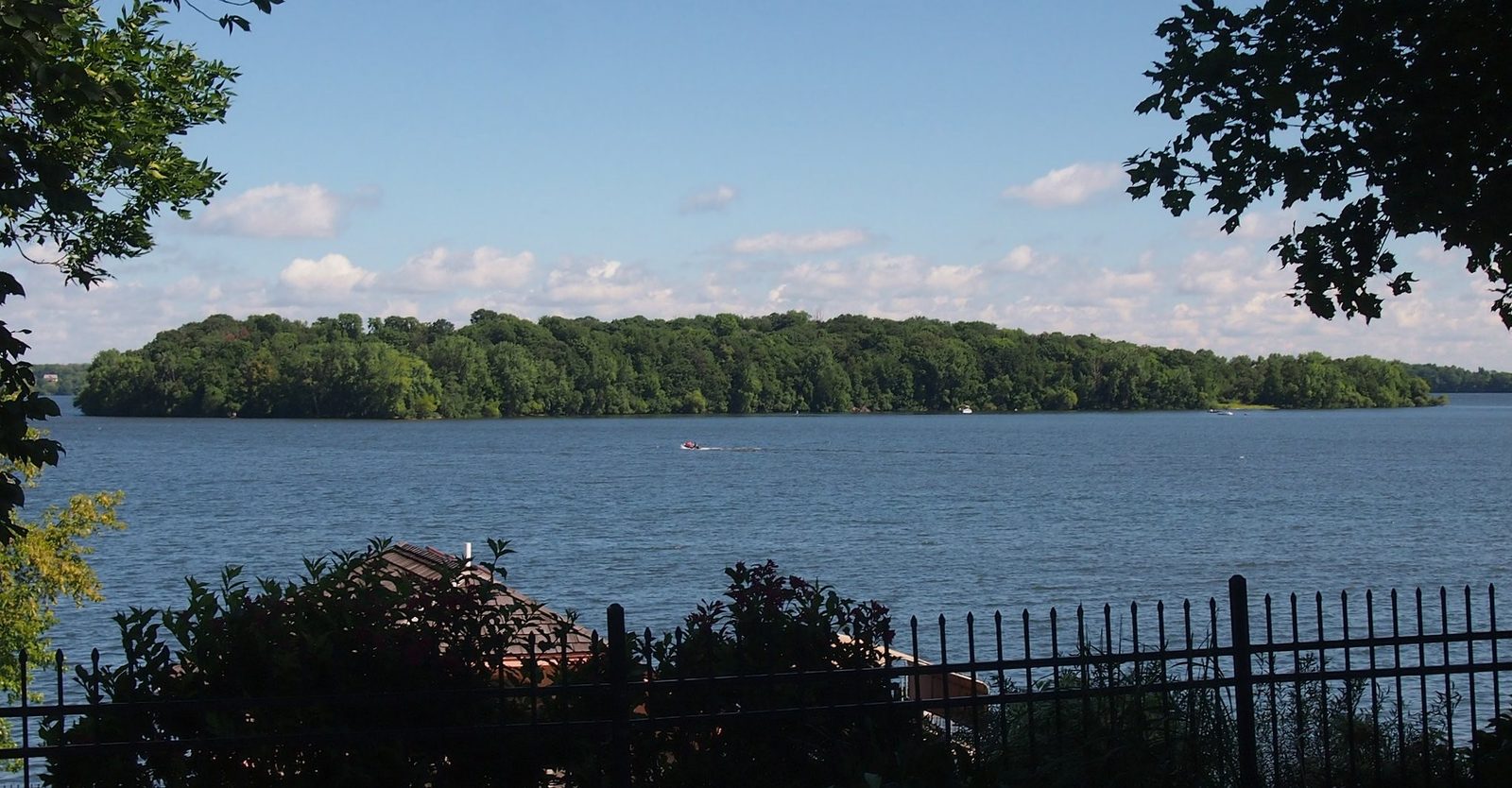 The wooded shoreline of Coney Island seen across Lake Waconia from Lake Street in Waconia on a summer day