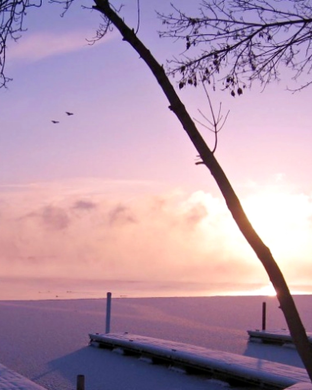 Browns Bay on Lake Minnetonka