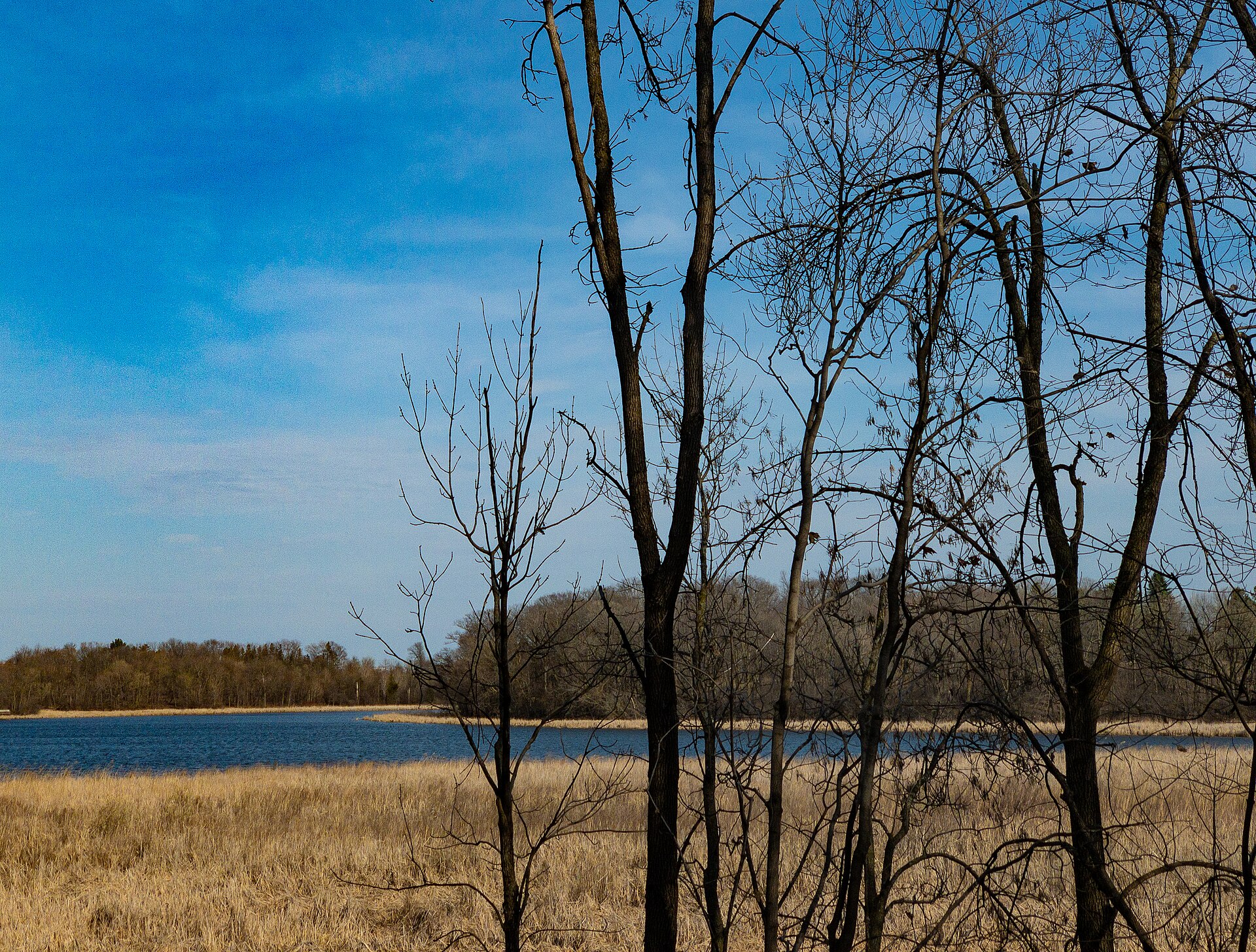 Lake Classen shoreline at Susan E. Lurton Park in Orono
