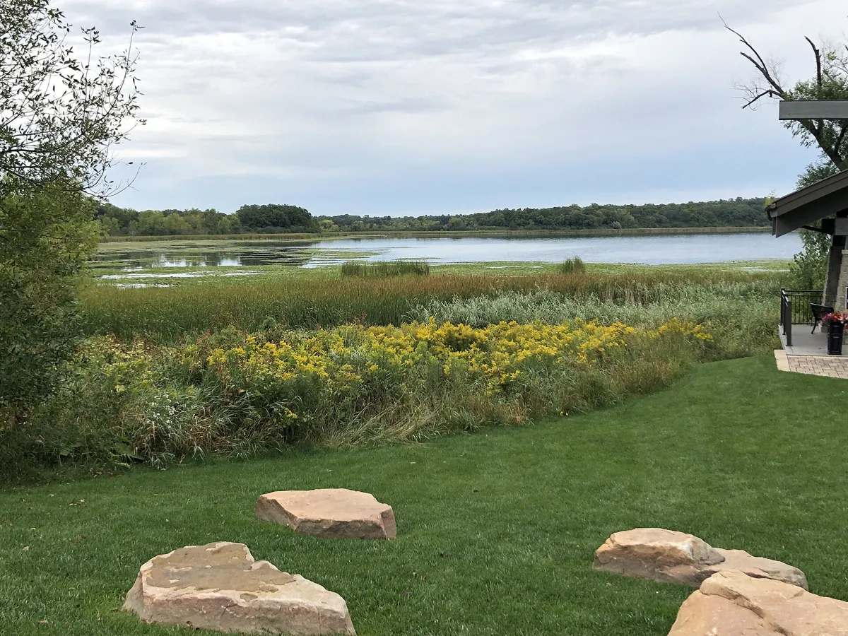 Stieger Lake seen from the lawn by downtown Victoria, with prairie flowers and boulders