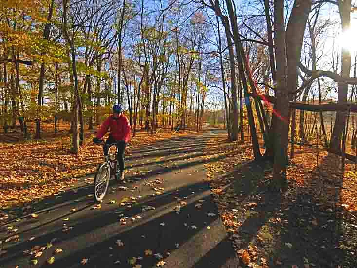 A rider on a leaf covered paved trail through fall woods in Carver Park Reserve