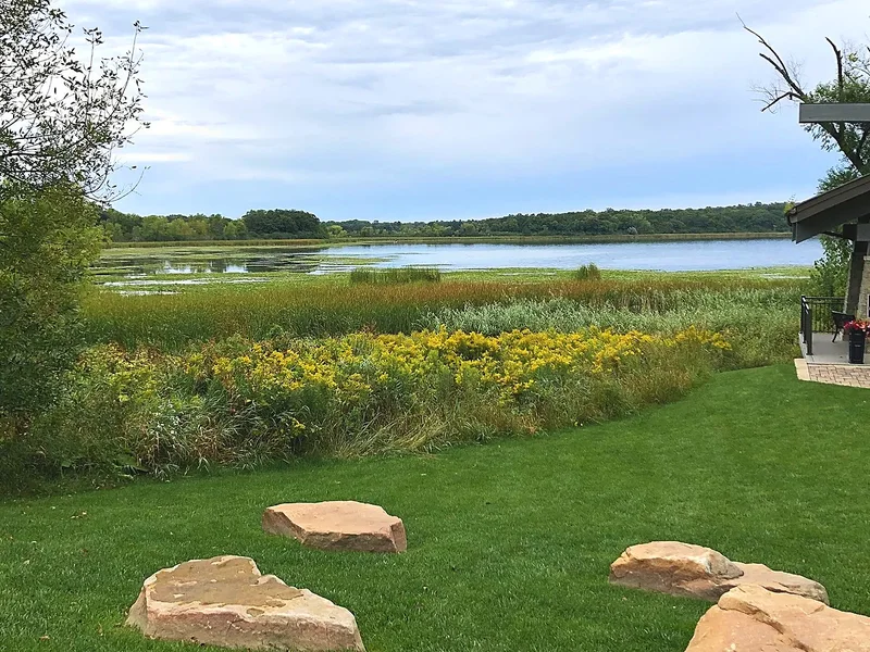 Stieger Lake in Victoria, ringed with cattails and goldenrod
